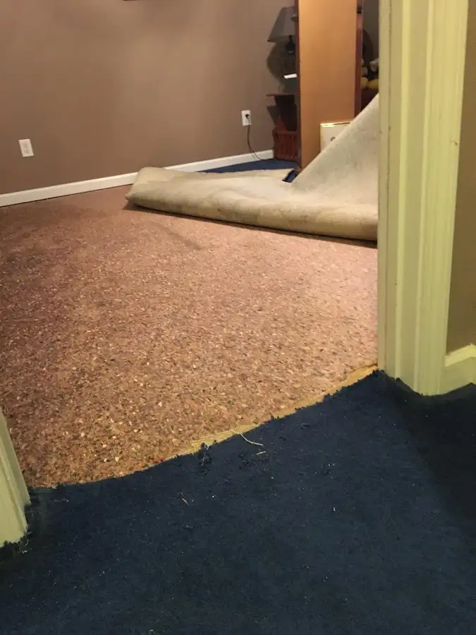 Carpet pad removal revealing water damage during Drying & Dehumidification in Tice
