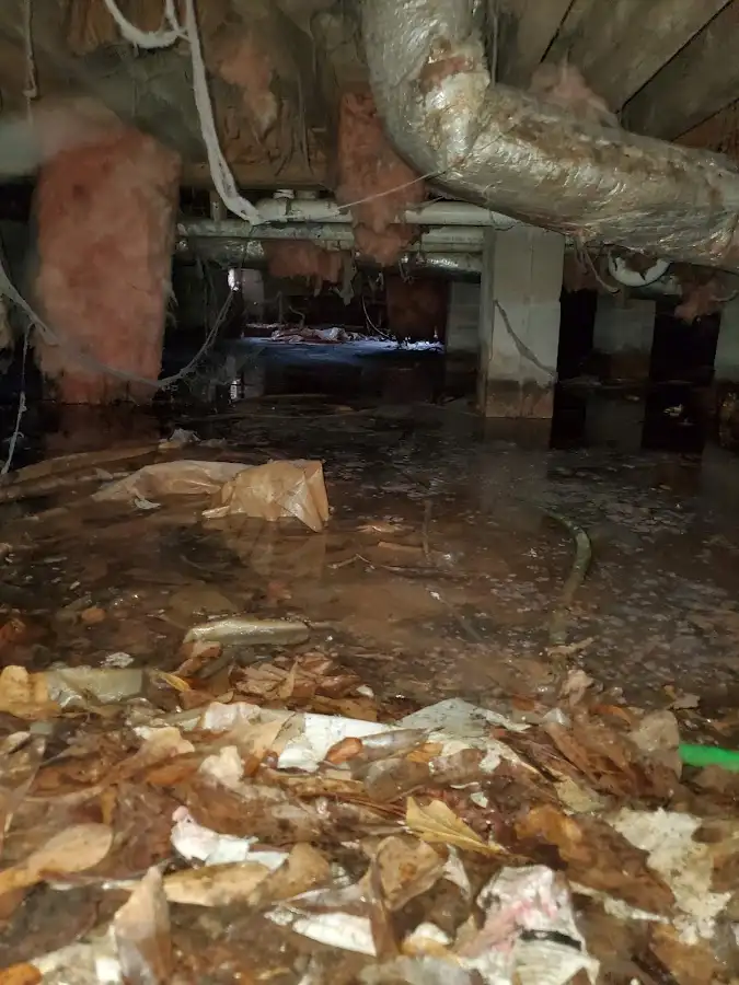 Crawl space flood assessment for Commercial Water Damage Restoration in Tice